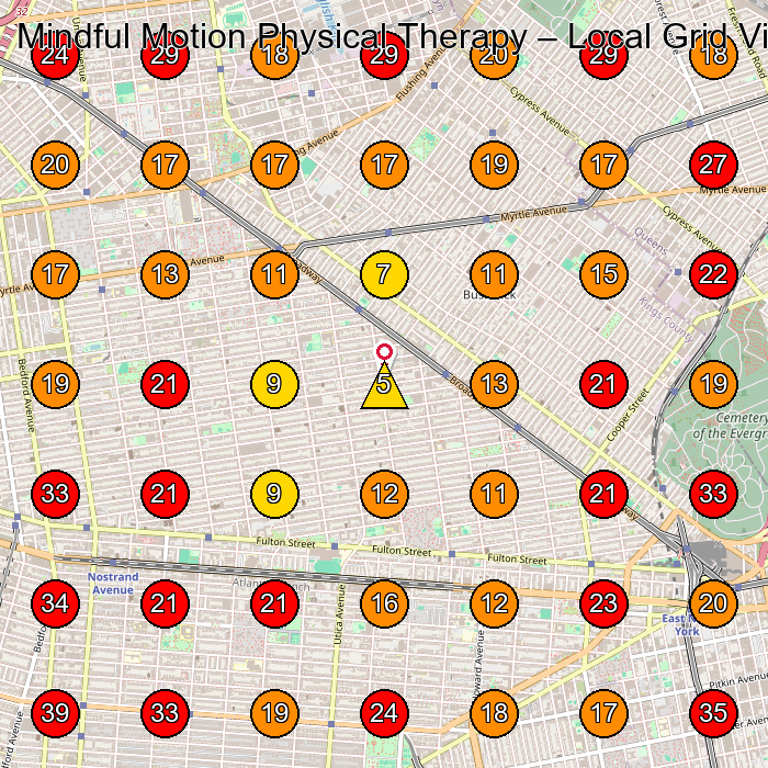 Mindful Motion Physical Therapy GeoGrid visibility map for Pain Management Physician in Brooklyn